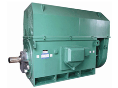 Y5602-6/1250KWYKK系列高压电机